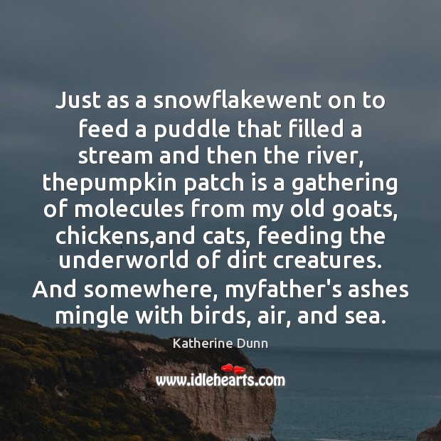 Just as a snowflakewent on to feed a puddle that filled a Katherine Dunn Picture Quote