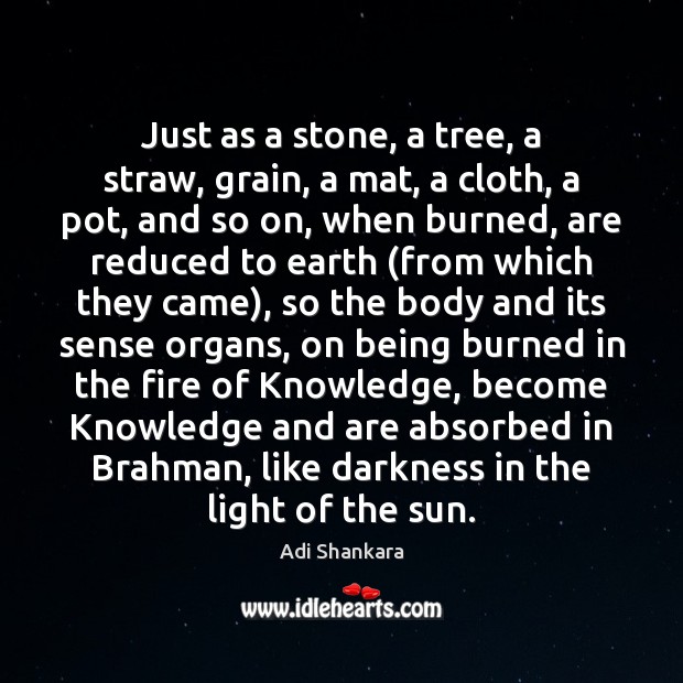 Just as a stone, a tree, a straw, grain, a mat, a Adi Shankara Picture Quote