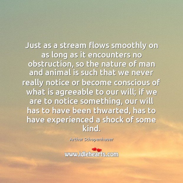 Just as a stream flows smoothly on as long as it encounters Arthur Schopenhauer Picture Quote