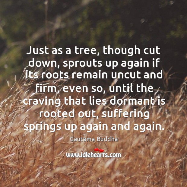 Just as a tree, though cut down, sprouts up again if its Gautama Buddha Picture Quote