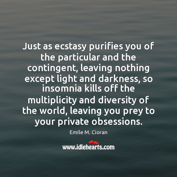 Just as ecstasy purifies you of the particular and the contingent, leaving Emile M. Cioran Picture Quote