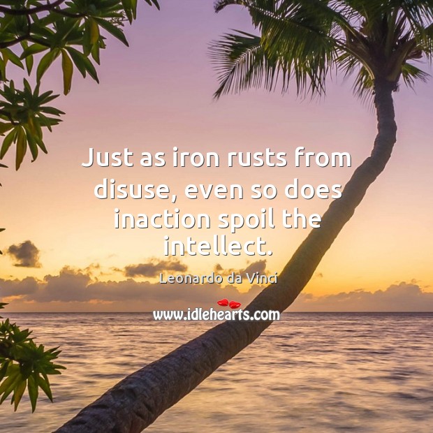 Just as iron rusts from disuse, even so does inaction spoil the intellect. Leonardo da Vinci Picture Quote
