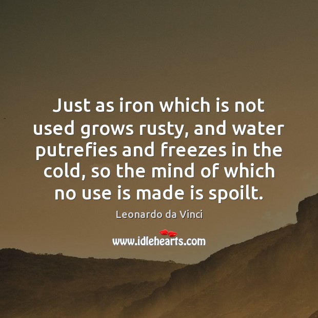 Just as iron which is not used grows rusty, and water putrefies Leonardo da Vinci Picture Quote