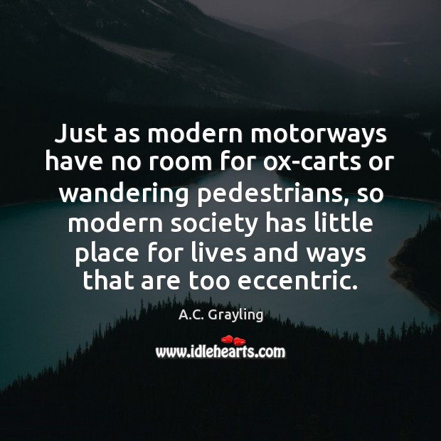 Just as modern motorways have no room for ox-carts or wandering pedestrians, A.C. Grayling Picture Quote