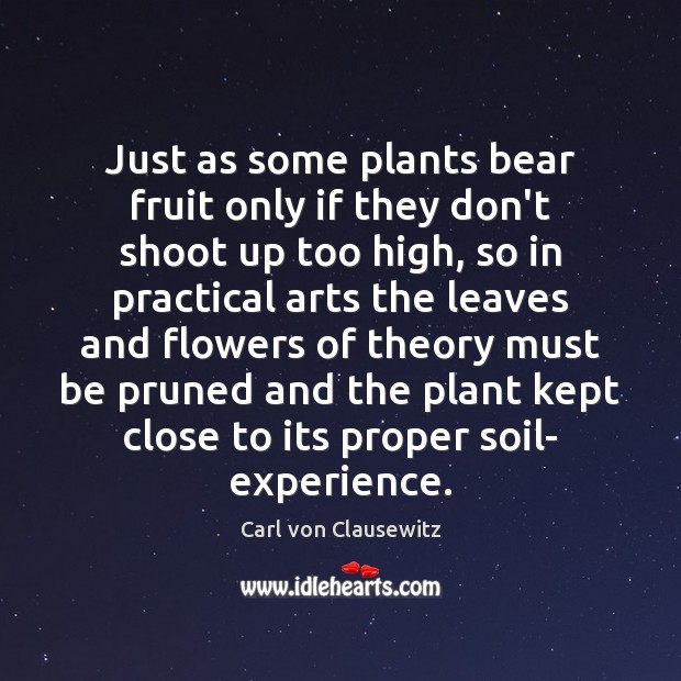 Just as some plants bear fruit only if they don’t shoot up Carl von Clausewitz Picture Quote