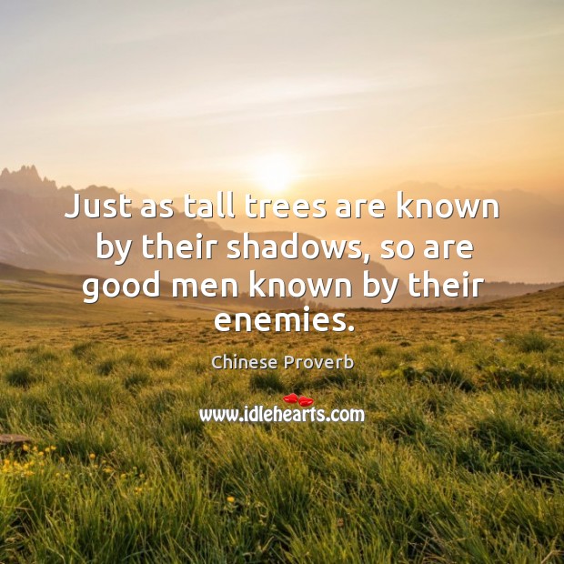 Just as tall trees are known by their shadows, so are good men Image