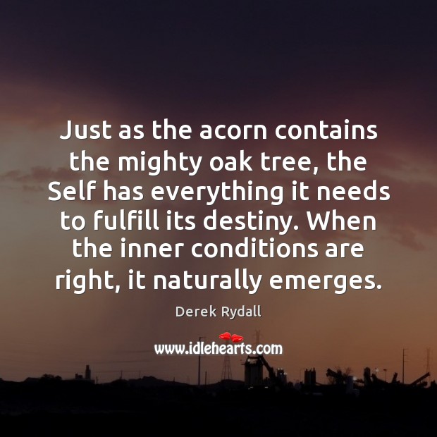 Just as the acorn contains the mighty oak tree, the Self has Derek Rydall Picture Quote