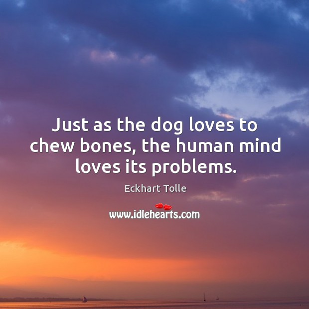 Just as the dog loves to chew bones, the human mind loves its problems. Image