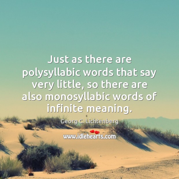 Just as there are polysyllabic words that say very little, so there Georg C. Lichtenberg Picture Quote