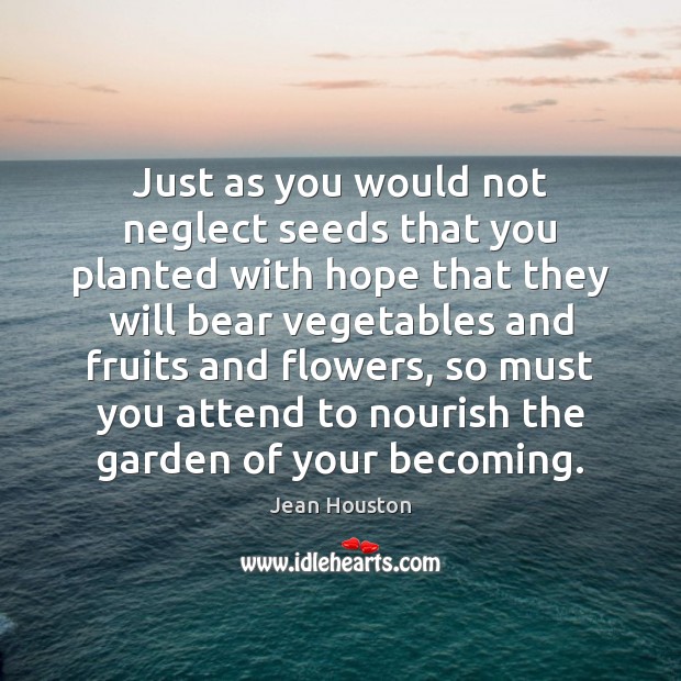 Just as you would not neglect seeds that you planted with hope Jean Houston Picture Quote