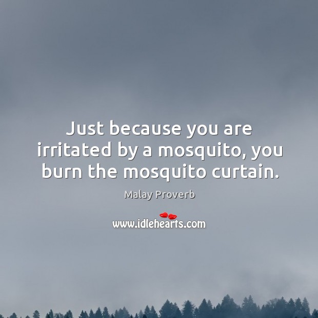 Just because you are irritated by a mosquito, you burn the mosquito curtain. Malay Proverbs Image