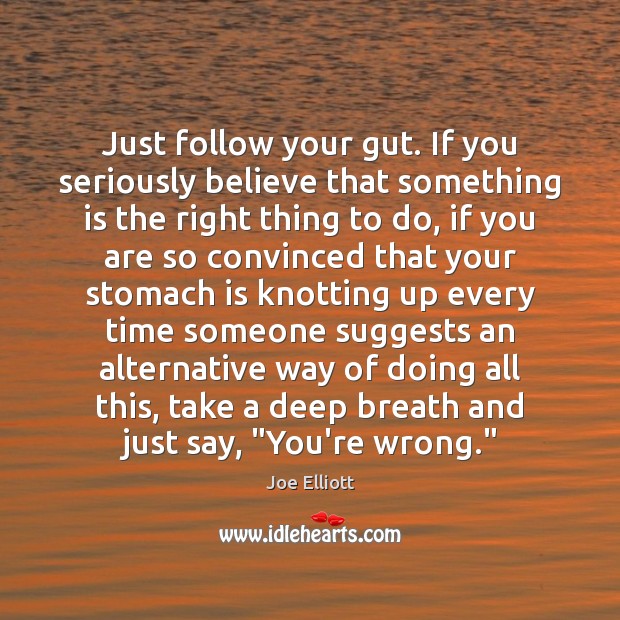 Just follow your gut. If you seriously believe that something is the Joe Elliott Picture Quote