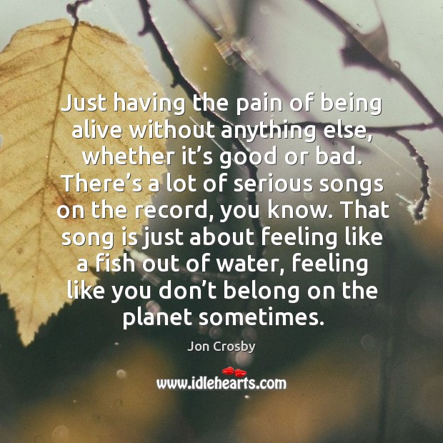 Just having the pain of being alive without anything else, whether it’s good or bad. Jon Crosby Picture Quote