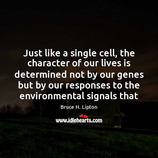 Just like a single cell, the character of our lives is determined Image
