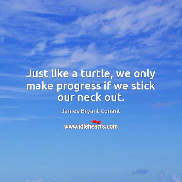 Just like a turtle, we only make progress if we stick our neck out. Image