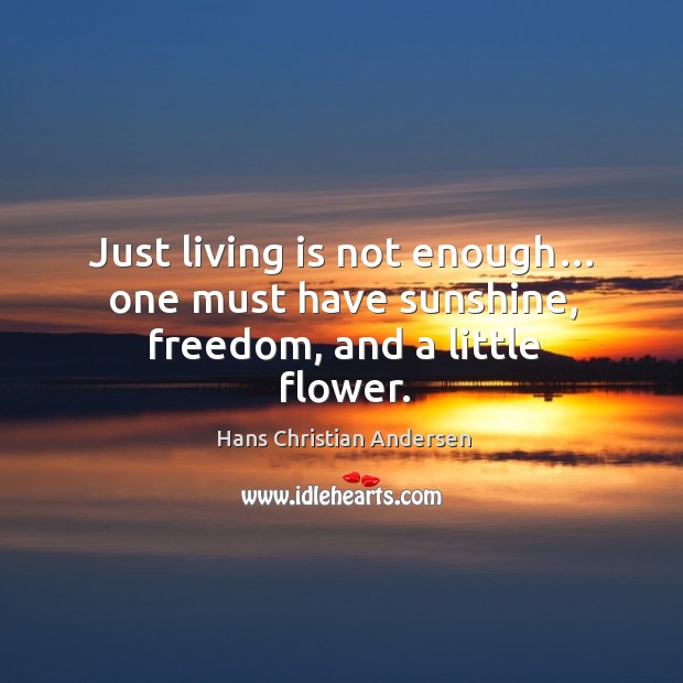 Just living is not enough… one must have sunshine, freedom, and a little flower. Hans Christian Andersen Picture Quote
