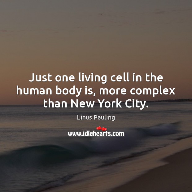 Just one living cell in the human body is, more complex than New York City. Linus Pauling Picture Quote