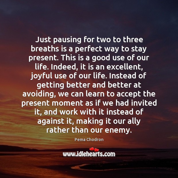 Just pausing for two to three breaths is a perfect way to Pema Chodron Picture Quote
