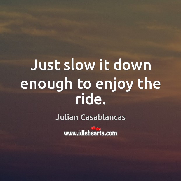 Just slow it down enough to enjoy the ride. Julian Casablancas Picture Quote