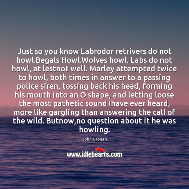 Just so you know Labrodor retrivers do not howl.Begals Howl.Wolves John Grogan Picture Quote
