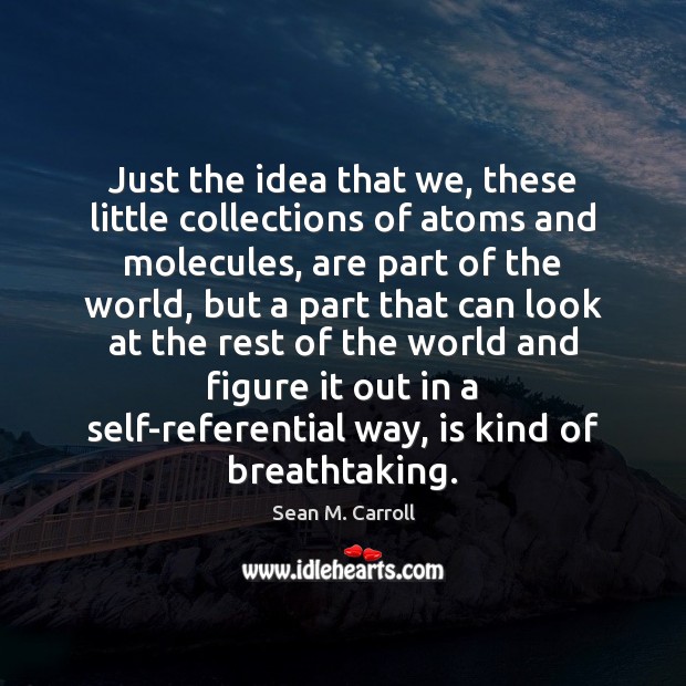 Just the idea that we, these little collections of atoms and molecules, Sean M. Carroll Picture Quote