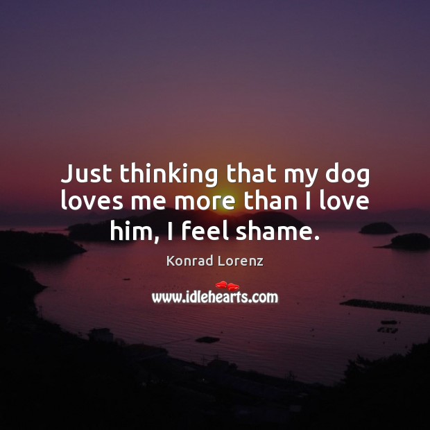 Just thinking that my dog loves me more than I love him, I feel shame. Konrad Lorenz Picture Quote