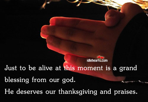 Just to be alive at this moment is a grand blessing. Thanksgiving Quotes Image
