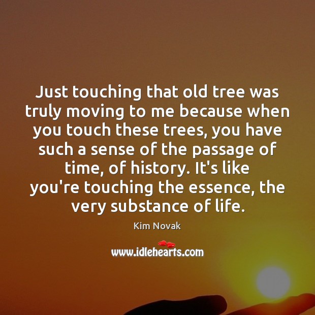 Just touching that old tree was truly moving to me because when Image