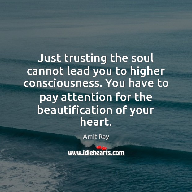 Just trusting the soul cannot lead you to higher consciousness. You have Amit Ray Picture Quote