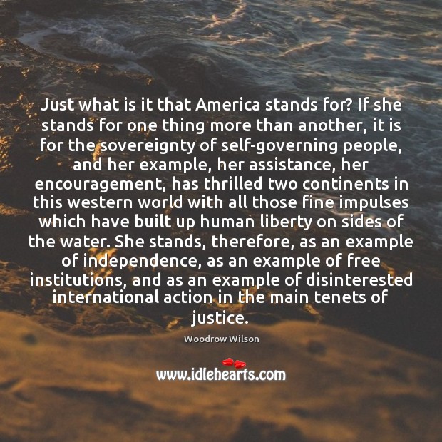 Just what is it that America stands for? If she stands for Woodrow Wilson Picture Quote