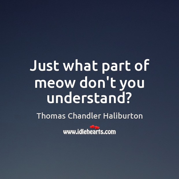 Just what part of meow don’t you understand? Thomas Chandler Haliburton Picture Quote