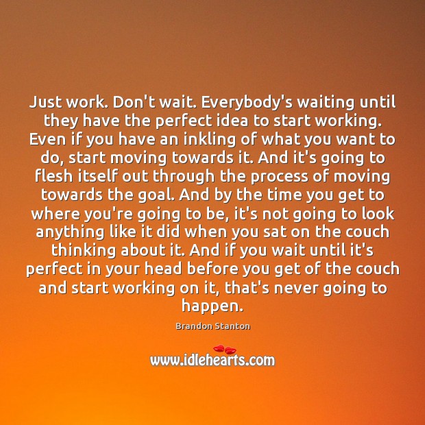 Just work. Don’t wait. Everybody’s waiting until they have the perfect idea Brandon Stanton Picture Quote