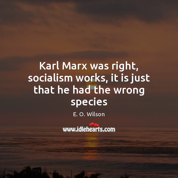 Karl Marx was right, socialism works, it is just that he had the wrong species Image
