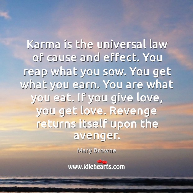 Karma is the universal law of cause and effect. You reap what Mary Browne Picture Quote
