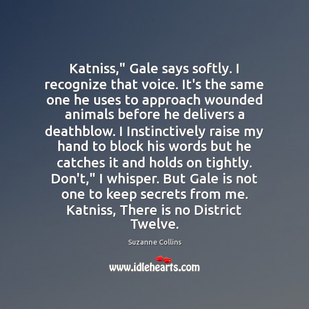 Katniss,” Gale says softly. I recognize that voice. It’s the same one Suzanne Collins Picture Quote