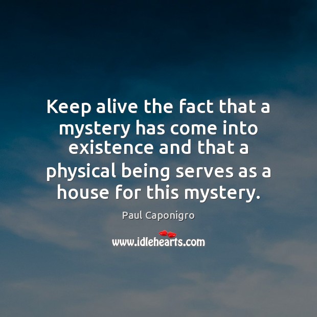 Keep alive the fact that a mystery has come into existence and Paul Caponigro Picture Quote