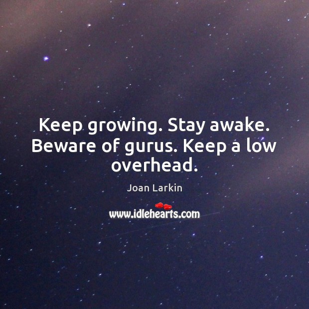 Keep growing. Stay awake. Beware of gurus. Keep a low overhead. Joan Larkin Picture Quote