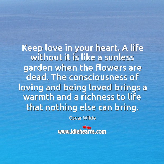 Keep love in your heart. A life without it is like a Image