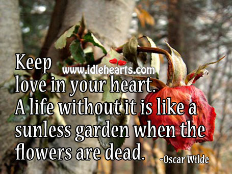 A life without love is like a sunless garden when the flowers are dead. Image
