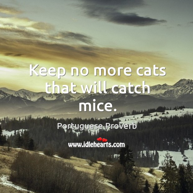 Keep no more cats that will catch mice. Portuguese Proverbs Image