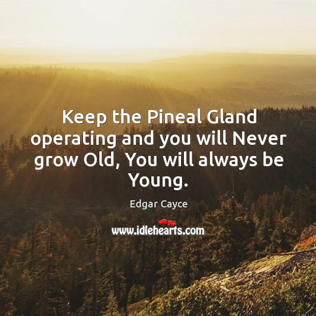 Keep the Pineal Gland operating and you will Never grow Old, You will always be Young. Image