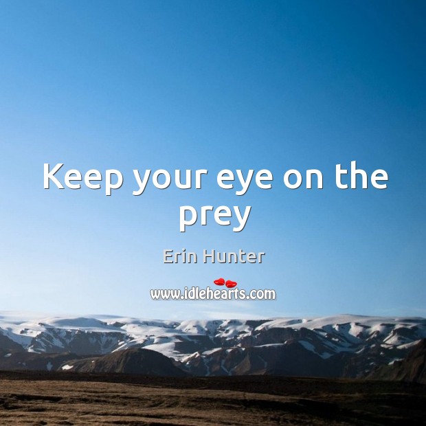 Keep your eye on the prey Image