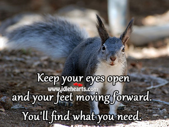 Keep your eyes open and your feet moving forward. Image
