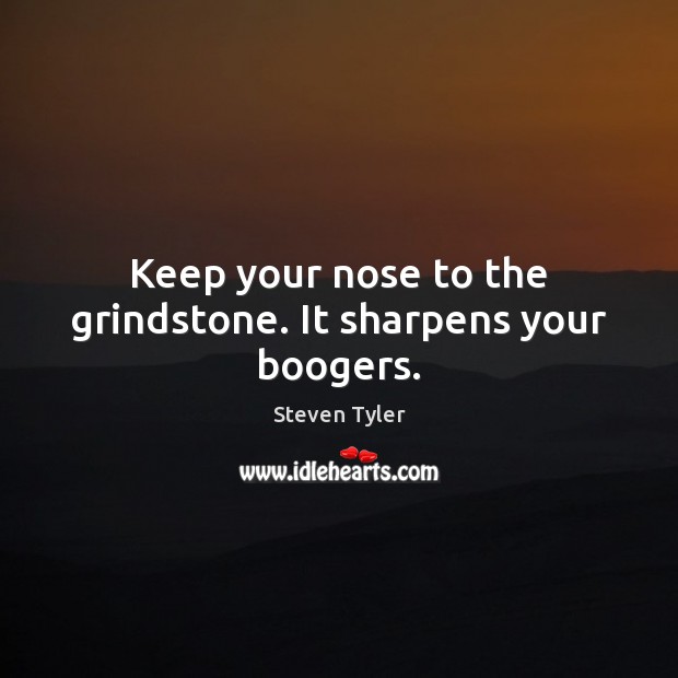Keep your nose to the grindstone. It sharpens your boogers. Steven Tyler Picture Quote