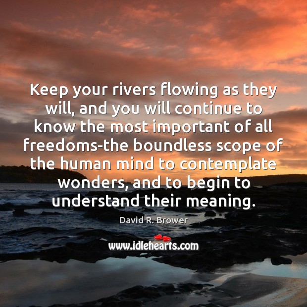 Keep your rivers flowing as they will, and you will continue to David R. Brower Picture Quote
