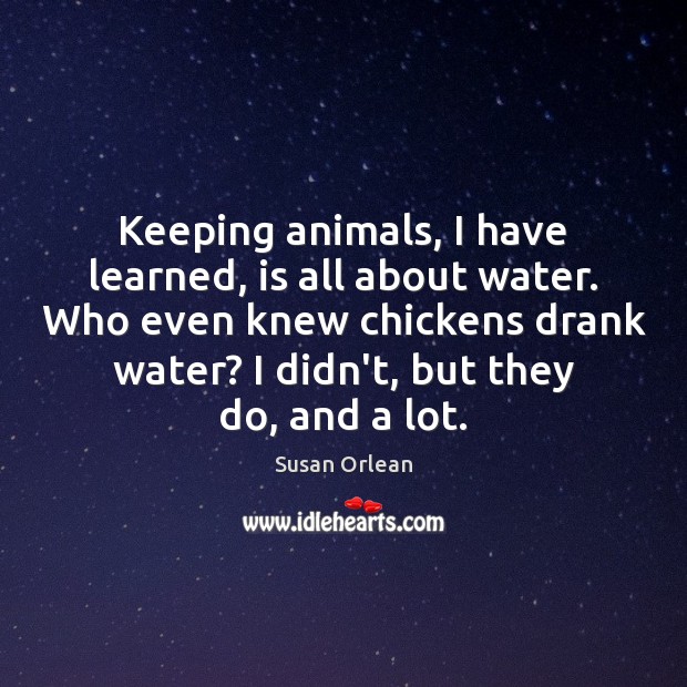 Keeping animals, I have learned, is all about water. Who even knew Susan Orlean Picture Quote