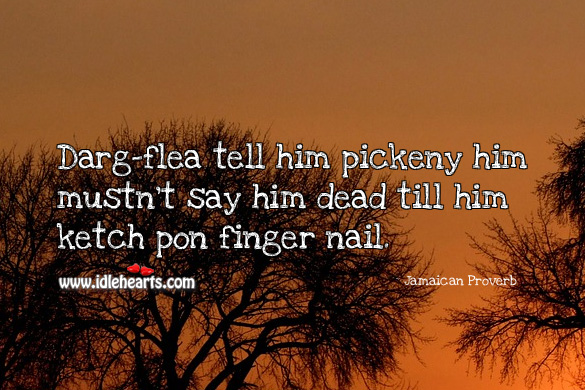 Darg-flea tell him pickeny him mustn’t say him dead till him ketch pon finger nail. Jamaican Proverbs Image