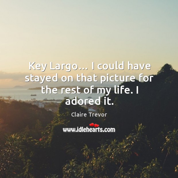 Key largo… I could have stayed on that picture for the rest of my life. I adored it. Image