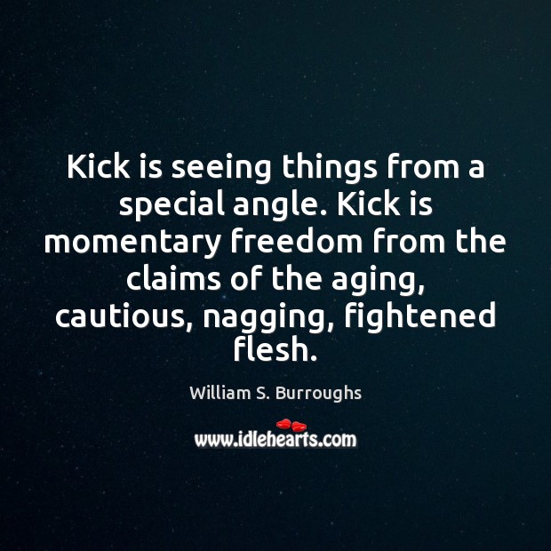 Kick is seeing things from a special angle. Kick is momentary freedom William S. Burroughs Picture Quote