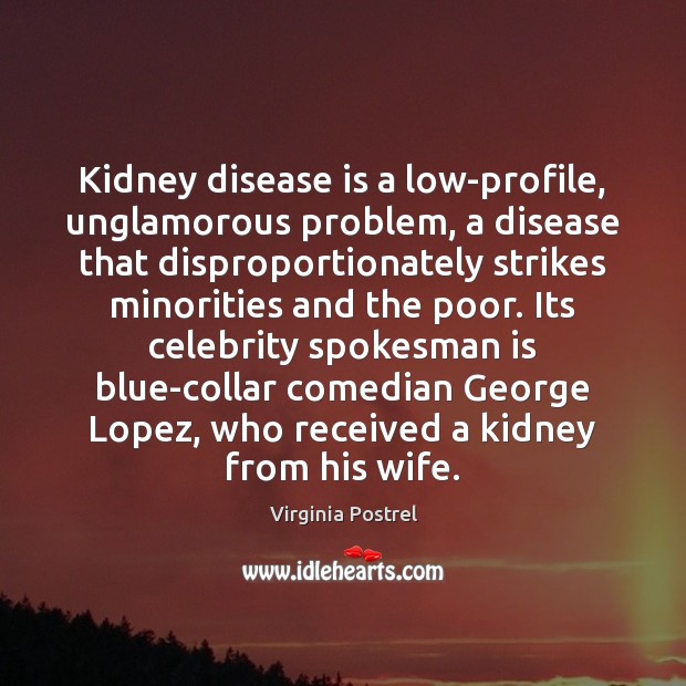 Kidney disease is a low-profile, unglamorous problem, a disease that disproportionately strikes Virginia Postrel Picture Quote